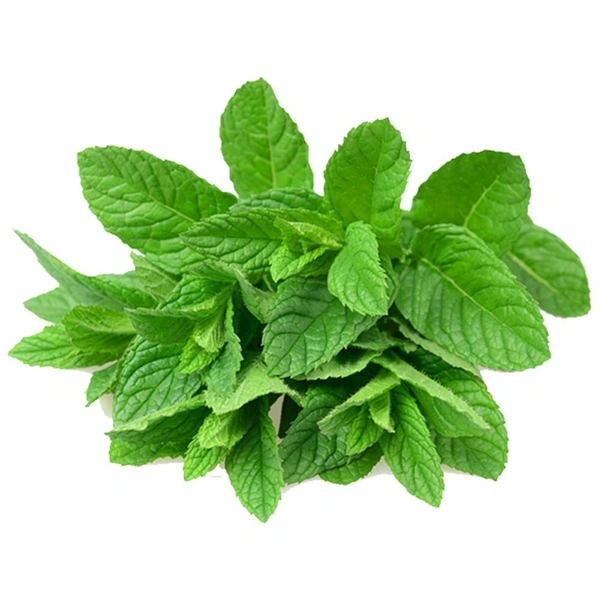 Mint Leaves (Without Roots) 150 Grams
