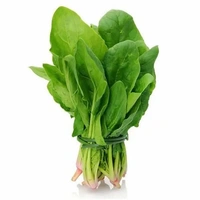 SMPH  Spinach  500 Grams (ಸೊಪ್ಪು' पालक) Spinach - Cleaned, without roots