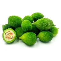 spine gourd 500g 