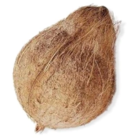 Brown Coconut (ತೆಂಗಿನ ಕಾಯಿ नरियाल) 1 Piece