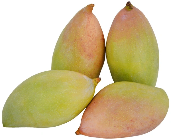 Totapuri mango 1Kg. 