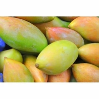 Totapuri mango 1Kg. 