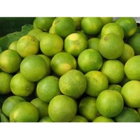 Mosambi (मौसमी ಕುಂಬಳಕಾಯಿ ಸಿಹಿ ನಿಂಬೆ) 500 g