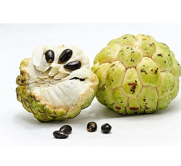 Golden Custard Apple (sharifa) 600g
