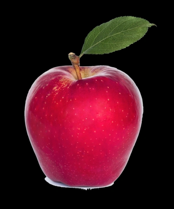 Ambri apple (250g.To 300g.)  2 Piece 