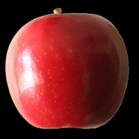Ambri apple (250g.To 300g.)  2 Piece 