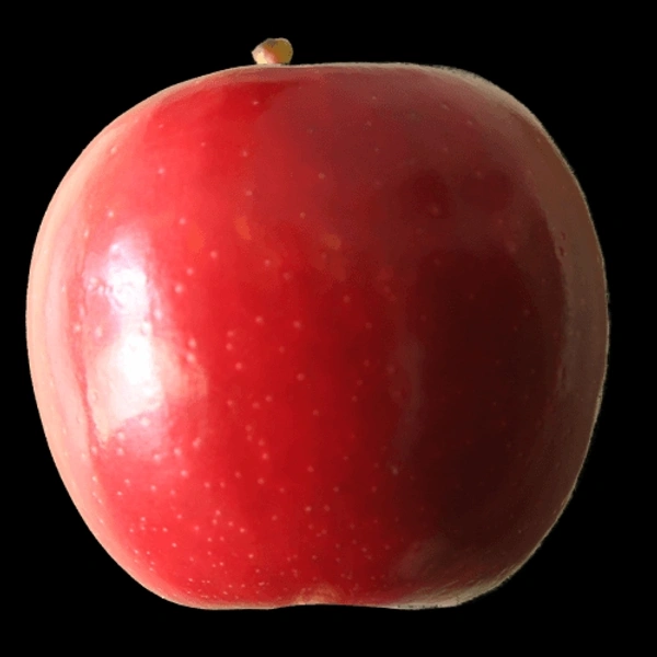 Ambri apple (250g.To 300g.)  2 Piece 