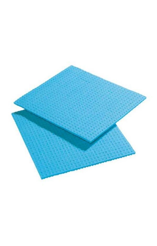 Sponge wiper (pack of 2) - Neptune
