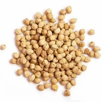 Satyam Kabuli Chana: 500 gms