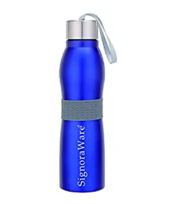 Stainless Steel Fridge Water Bottle, 750ml, 1 Pc, Blue, Set of 1