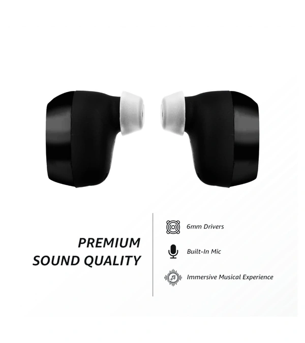 Truly Wireless in Ear Earbuds