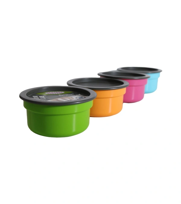 Air Seal Multicolour Plastic Food Container 600 ml (Set of 1) Tiffin Box , Tipan Bax - Mint Green
