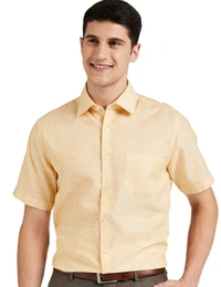 Men's Regular Fit Formal Shirt - Salomie, 39