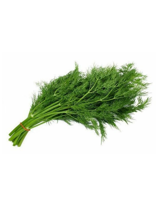 Suva Bhaji Dill Leaves (Sushma)