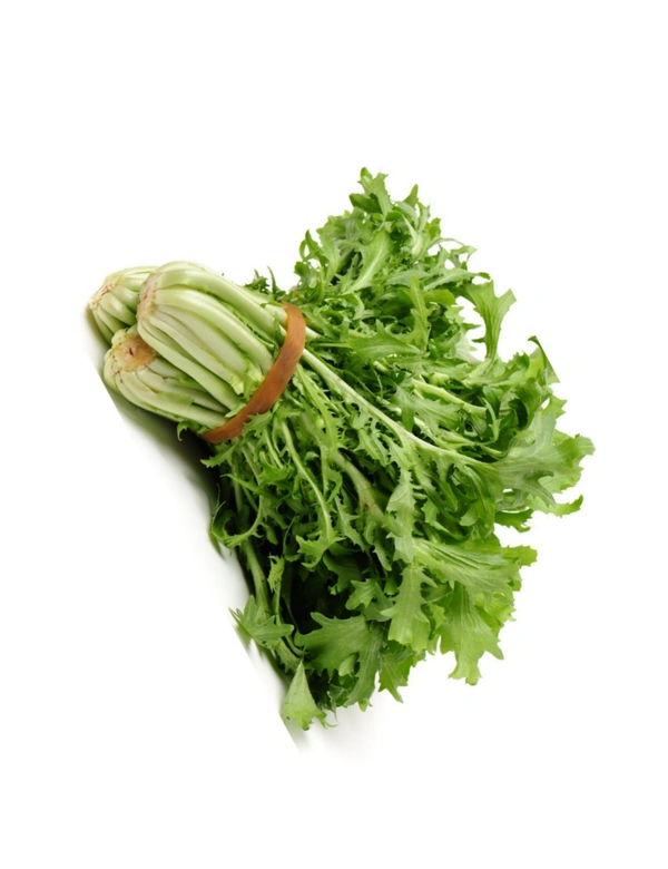 Curly Endive Green Vegetable Seeds (500 Seeds)