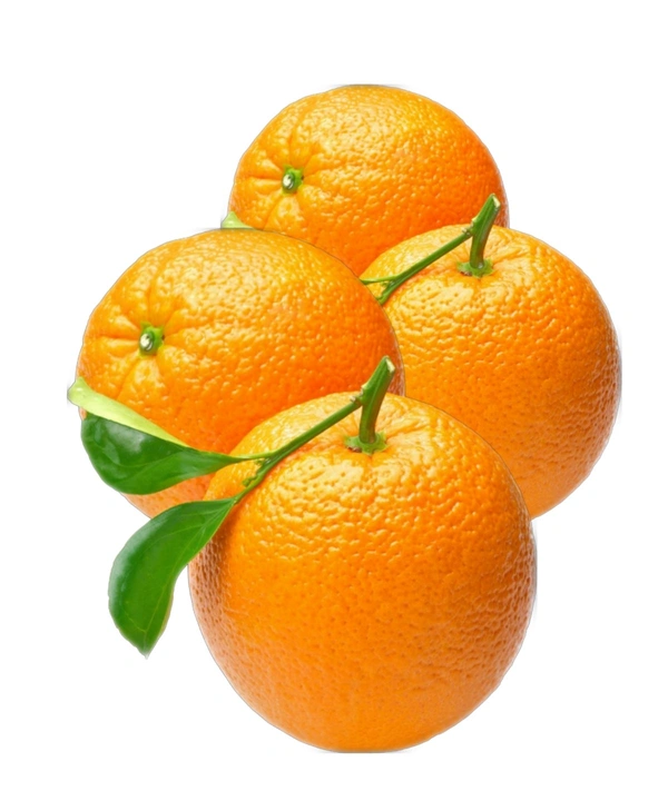 Baby Orange (Fresh Fruit)Orange 1kg - Web Orange