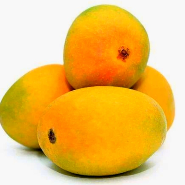 SMPH STAR  Mango Badami South 500g. - 