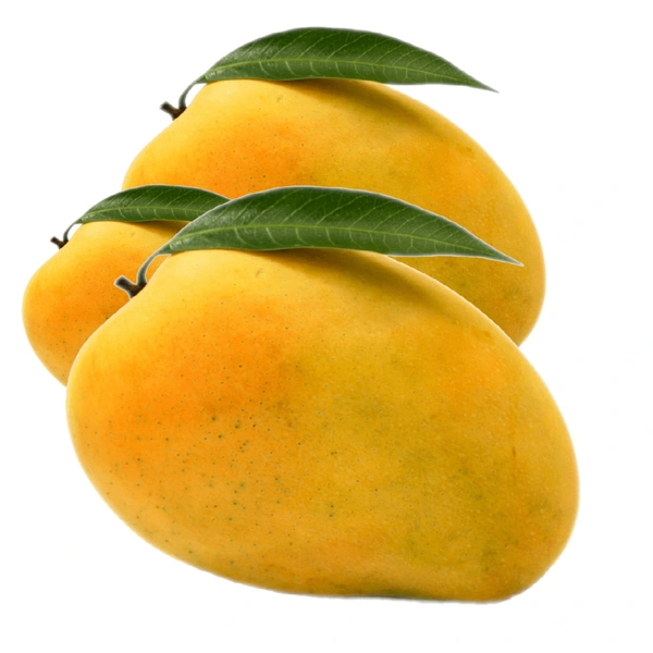 SMPH STAR  Mango Badami South 500g. - 