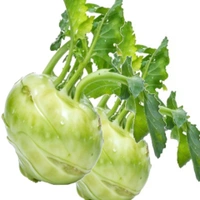 Knol Knol ( 250 Gm) - 