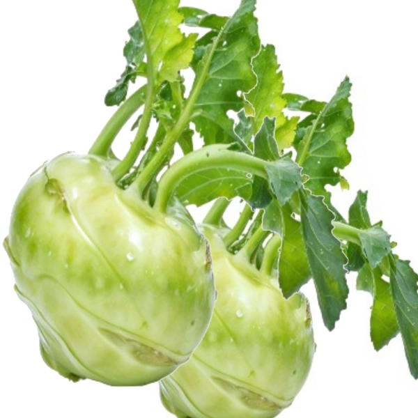 Knol Knol ( 250 Gm) - 