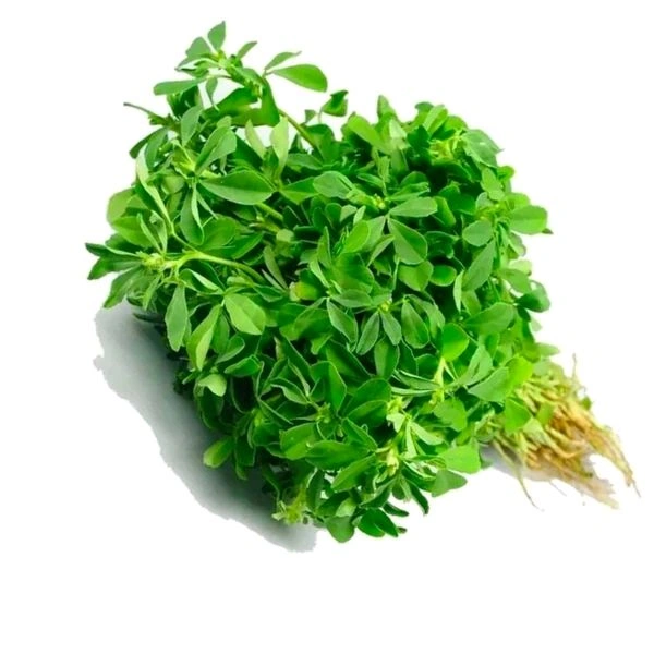 SMPH STAR  Green Fenugreek 300g.(Methi) - Eucalyptus