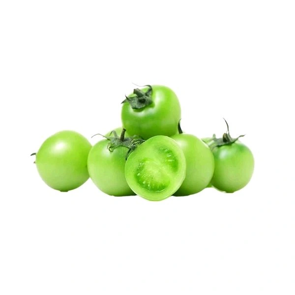 Green Tomato - Green
