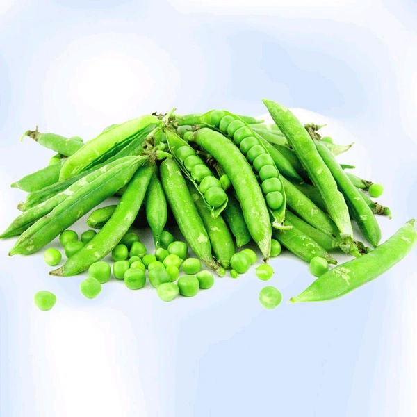 Green Peas 500 g. (ಹಸಿರು ಬಟಾಣಿ) - Japanese Laurel