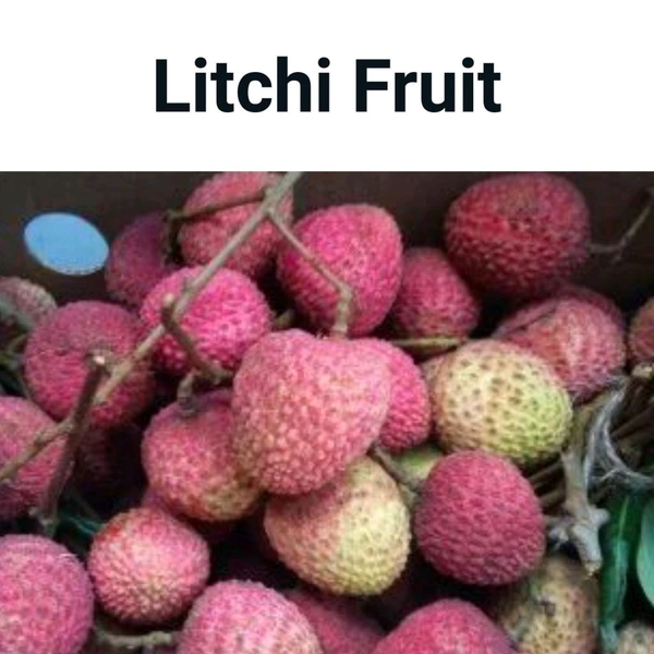 AFILAONE  Litchi Fruit 500g.(लीची) ಲಿಚಿ 