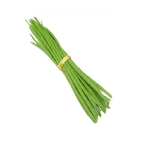 Drumstick  2 Piece  ( Shahjan) 