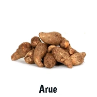 Colocasia 500g. (ARUE) 