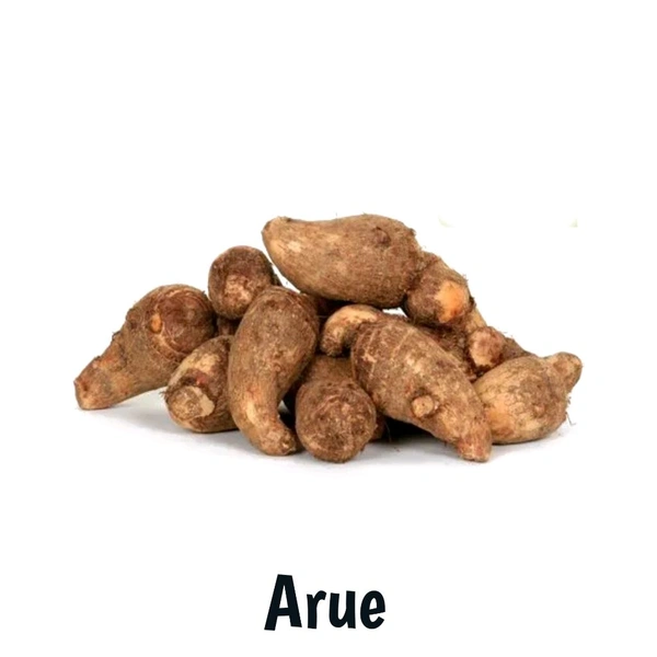 Colocasia 500g. (ARUE) 