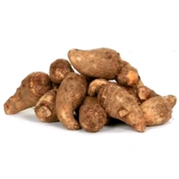 Colocasia 500g. (ARUE) 