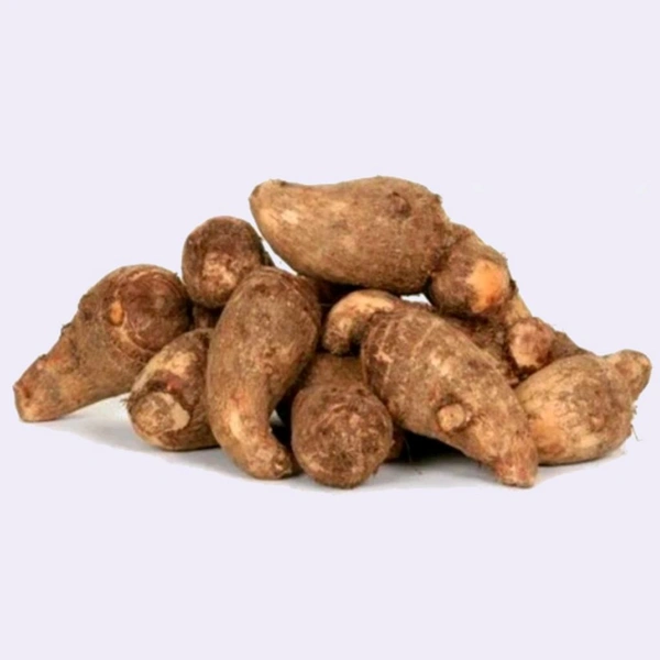 Colocasia 500g. (ARUE) 