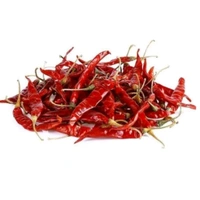 Guntur Chilli (Gunturu Menasin..)100.gms