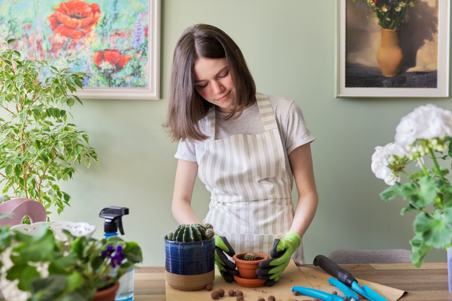 succulents