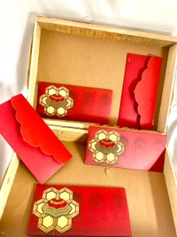 Red Umbrella Envelop