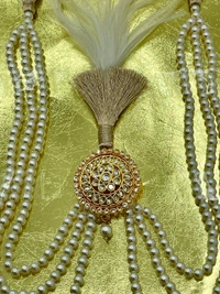 Tanranvir Kalgi