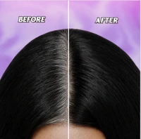  Root Touch Up
