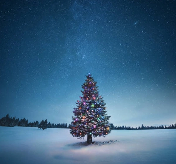 Christmas Sale