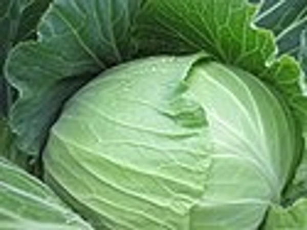 Bandha Govi 1 Kg
