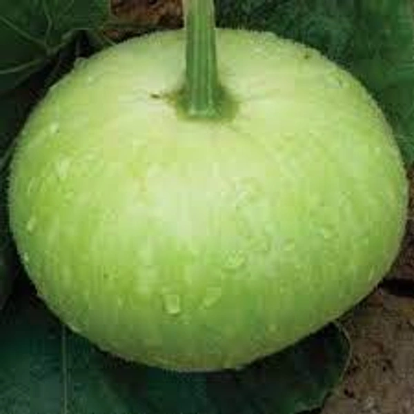 Louki ( round shaped ) 1 kg