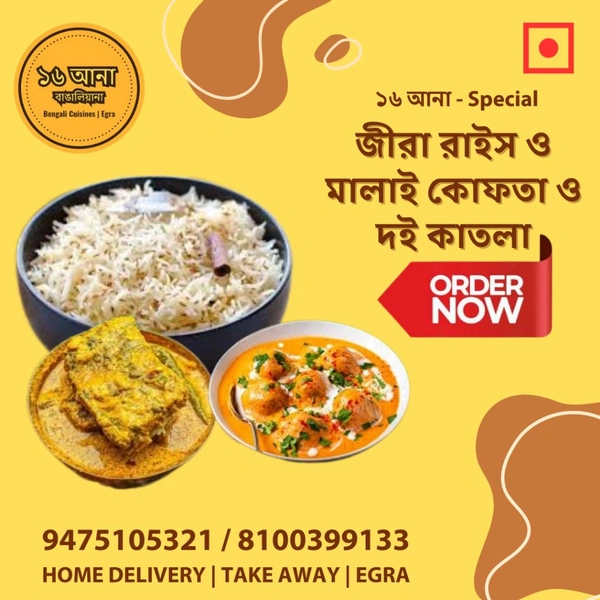 Veg Jeera Rice (জীরা রাইস) - Non Veg Combo - + মালাই কোফতা ও দই কাতলা