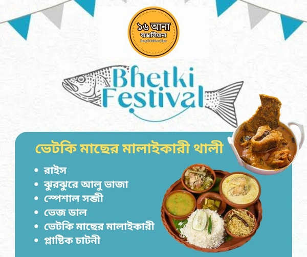 Non Veg ভেটকি মাছের মালাইকারী থালী (Vetki Macher Malaicurry Thali)