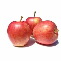 Royal Apple - Red, Small