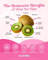 Kivi Fruit - Tan, Big