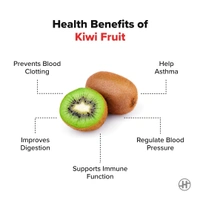 Kivi Fruit - Tan, Big