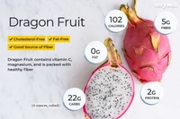 DRIGON FRUIT - White, Big