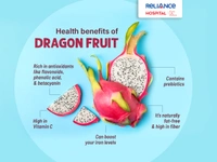 DRIGON FRUIT - White, Big