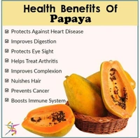 Papaya  - Web Orange, Big