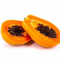 Papaya  - Web Orange, Small